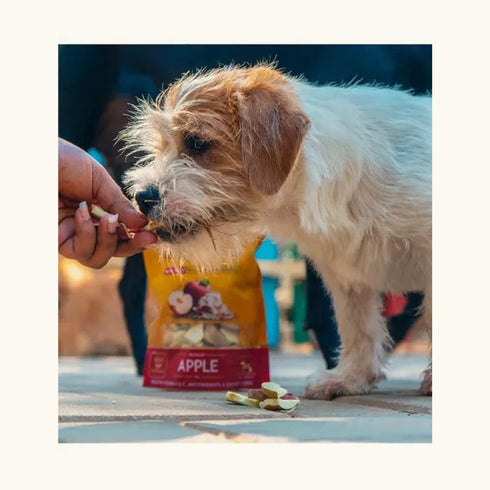 Dogsee Crunch Freeze Dried Apple Dog Treats